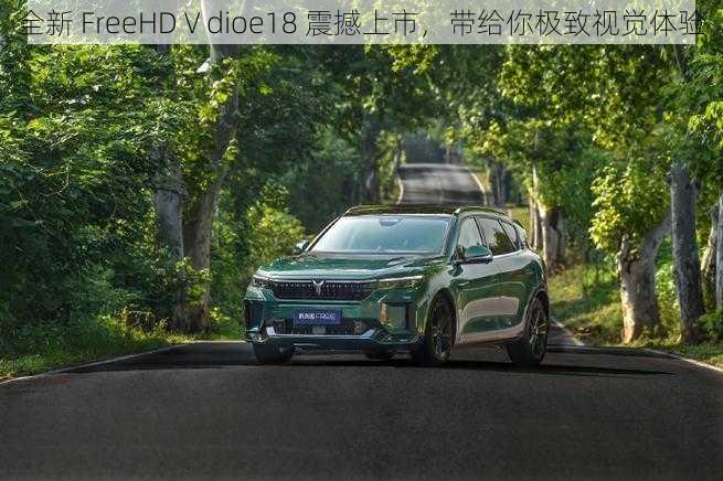 全新 FreeHDⅤdioe18 震撼上市,带给你极致视觉体验