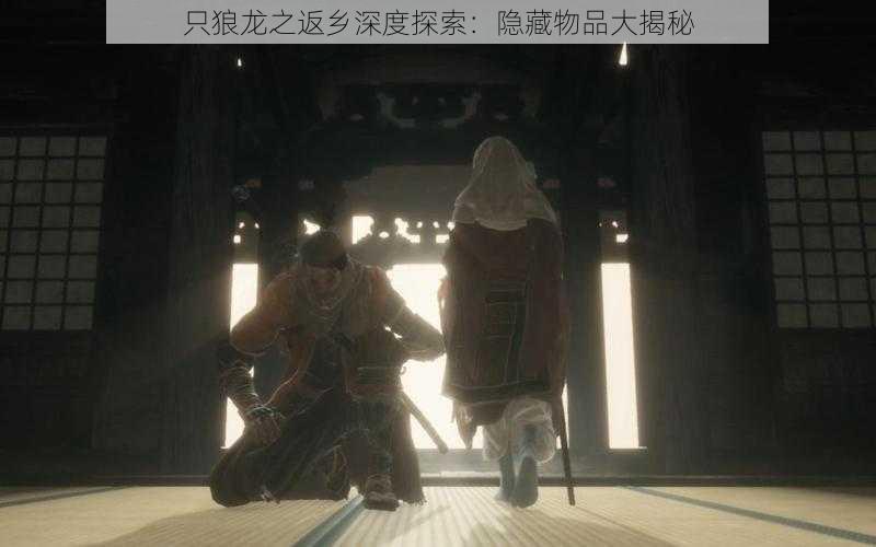 只狼龙之返乡深度探索:隐藏物品大揭秘