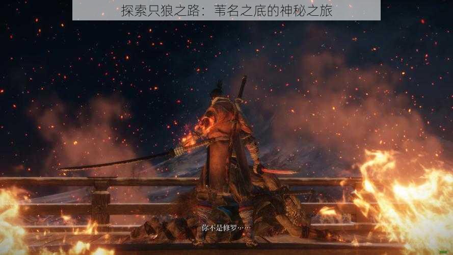 探索只狼之路:苇名之底的神秘之旅